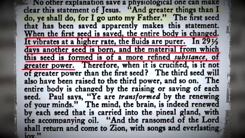 🥩 Meat~Solar Plexus~Bethlehem~Christ Within~ Mirrored