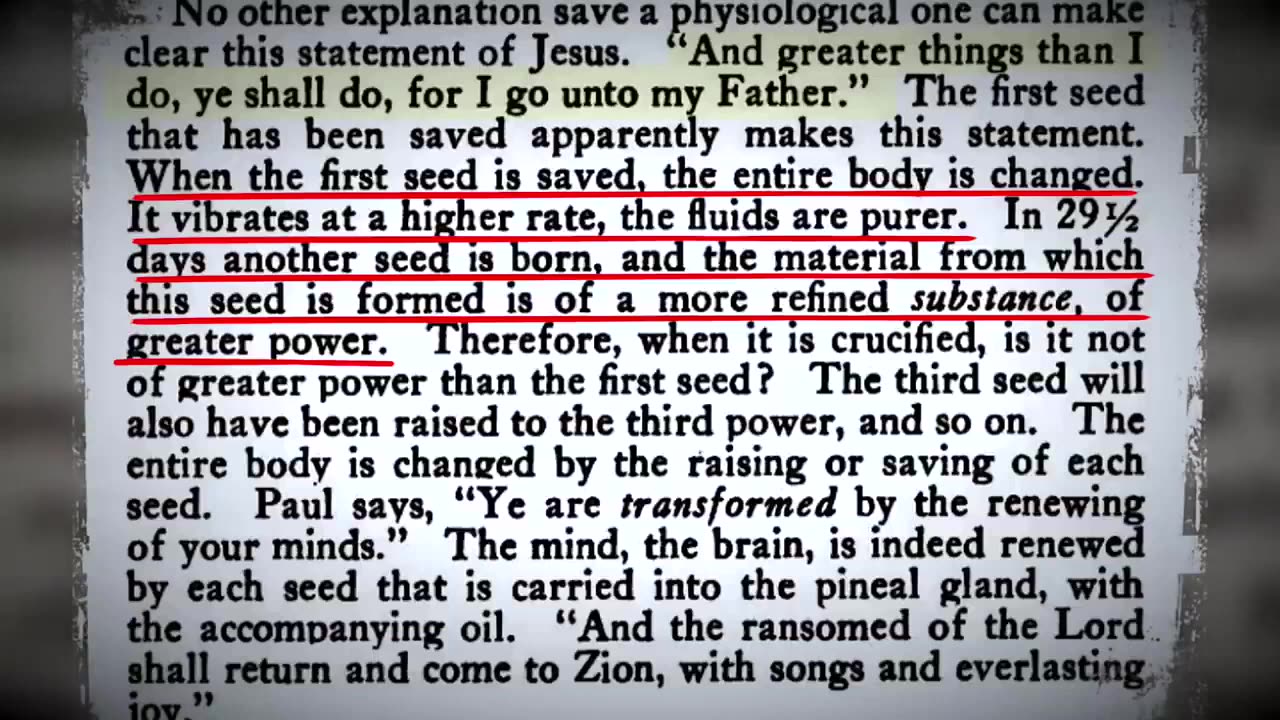 🥩 Meat~Solar Plexus~Bethlehem~Christ Within~ Mirrored