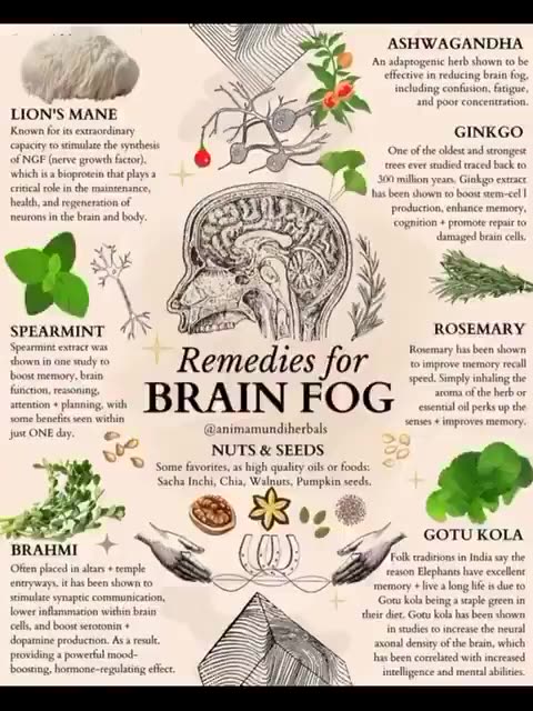 Secrets They Don’t Want You to Know: Powerful Herbs for Your Skin & Nervous System Health