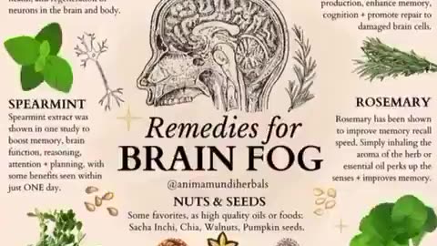 Secrets They Don’t Want You to Know: Powerful Herbs for Your Skin & Nervous System Health