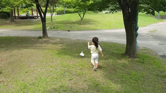 The pretty baby girl follows the pigeon