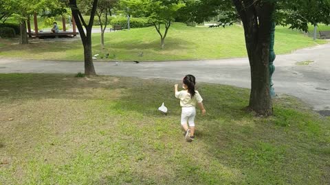 The pretty baby girl follows the pigeon