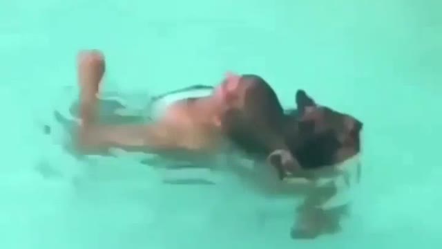 Dog trying to save his mom from the pool.