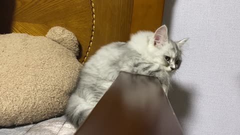 A kitten sleeping on a bed railing