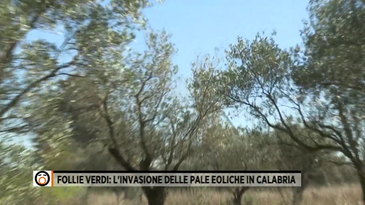 237 - 3 Gennaio 2024 - Follie verdi: l'invasione delle pale eoliche in Calabria