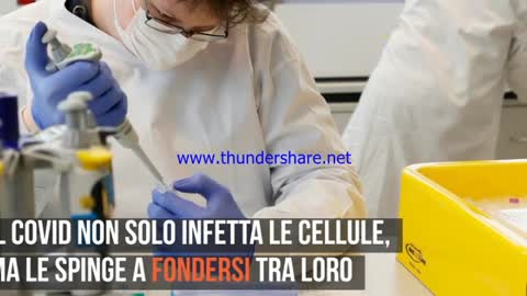 La variante delta e il COVID19 fondono le cellule creando trombi. Il virus è ARTIFICIALE