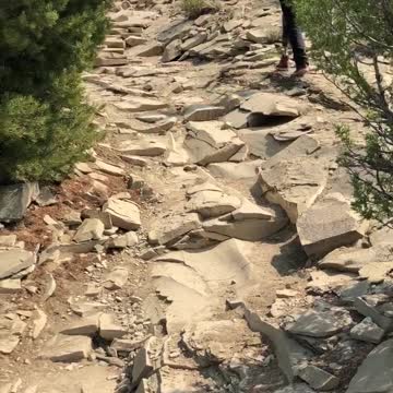 cojo goes up the chimney rocks trail in utah