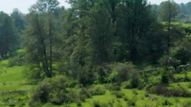 Natural landscape in an aerial view around a forest