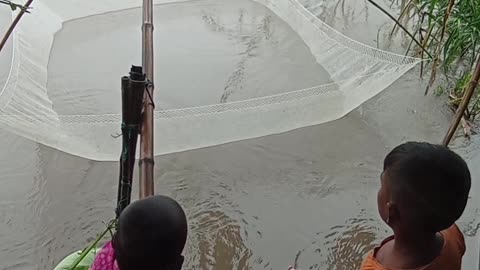 Fishing in the river