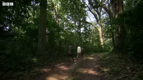 Lost Elephant Calf Cries Out For Mother | Natural World: Forest elephants | BBC Earth