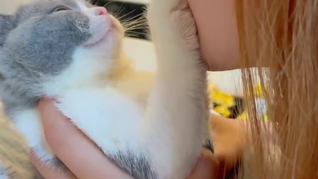 Your Lovely Cat 😻 Make you feel Happy