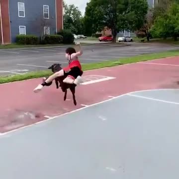 Block or chance boy and dog