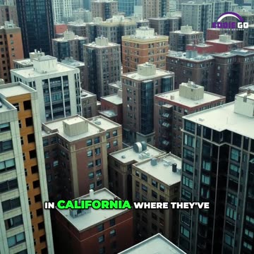 🚨 Is Freedom Making a Comeback in America? 🇺🇸