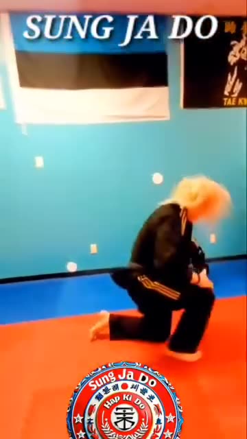 Sung Ja Do Hapkido