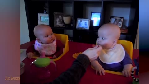 Funny Twin Babies Videos