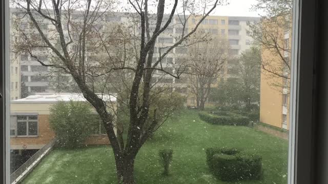 Spring snow