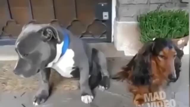 А, ну ка признавайтесь 😂