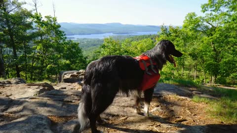 Severance Mountain - NY