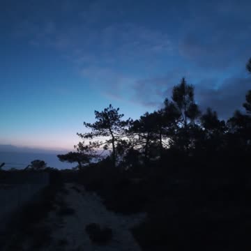 Caminhada Pela MATA NACIONAL DOS MEDOS 3TH MARCH 2K24 PART 44