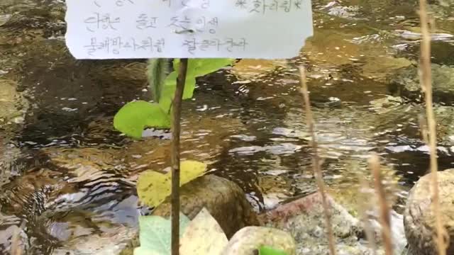 Homemade watermill in the valley