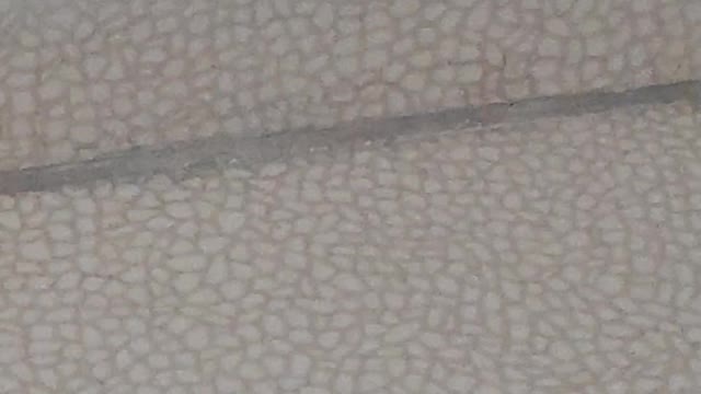 Never Thought This Would Happen In My Room