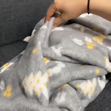 Funny,😁 smalle Dog 🐕#dog#short#funny