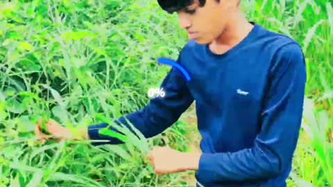 My first Day Farm 🌱