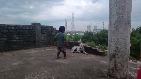 CUTE BABYGIRL FEEDING DOGI