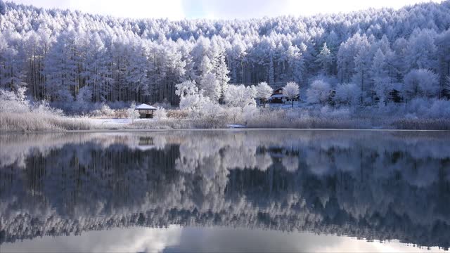 The beautiful scenery in the snow makes me relaxed and happy