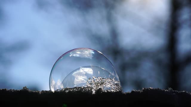 bubble winter