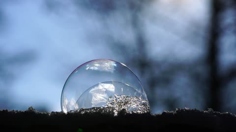 bubble winter