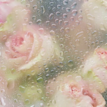 Roses Pressed in Glass