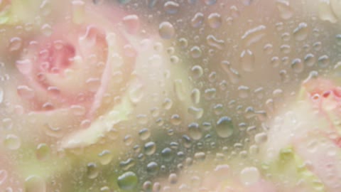 Roses Pressed in Glass