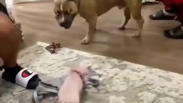 Size doesn't matter