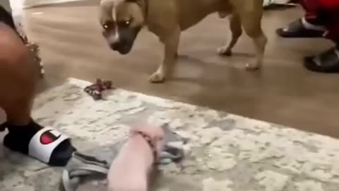 Size doesn't matter