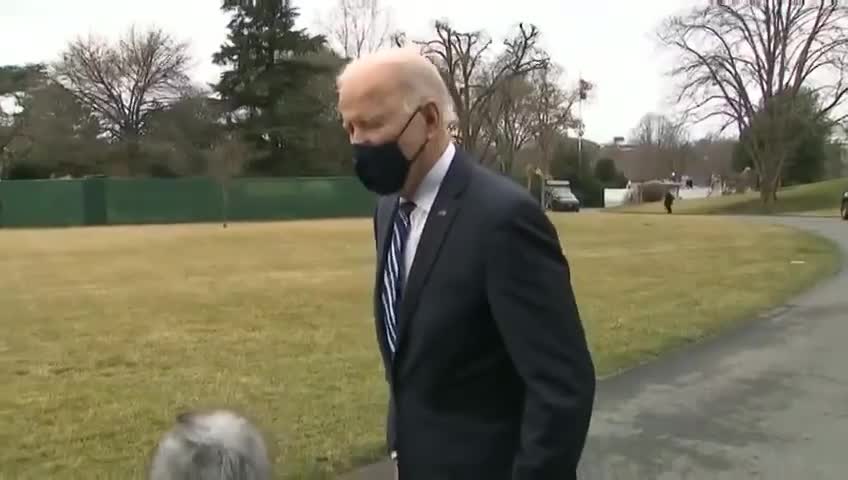 Biden Fake