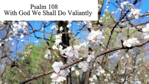 Psalm 108 - ESV Audio