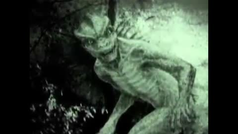 Military Secrets Exposed