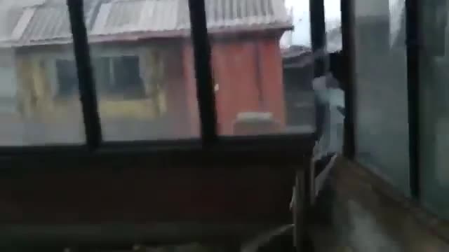 My Cat is Crazy