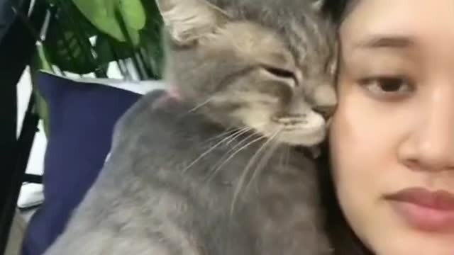 Funny Cats TikTok Compilation 😹 The internet's newest obsession!