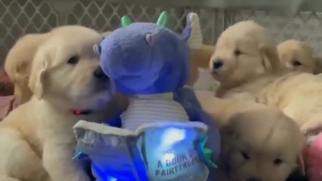 it's storytime with dalton the dragon