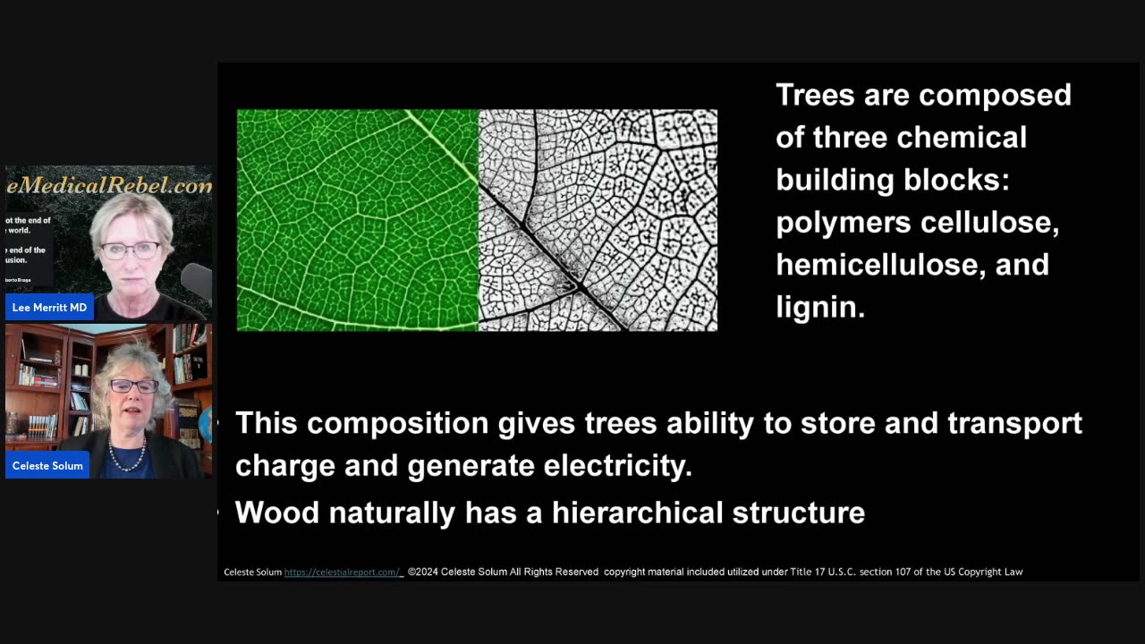 Dr. Merritt and Celeste Solum on Geoengineering, EMF and the War on Trees