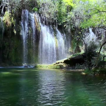 Christian Counseling | A Riddle