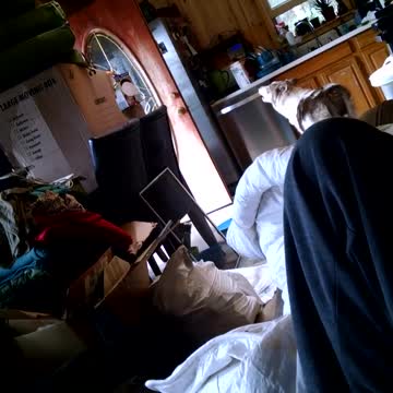 Adventures of Kaya! New Home. Where’s MOM???