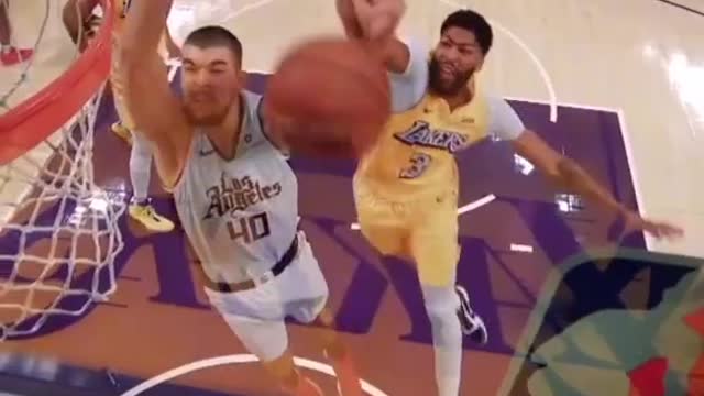 Check out Anthony Davis' top blocks #anthonydavis #NBA #Lakers