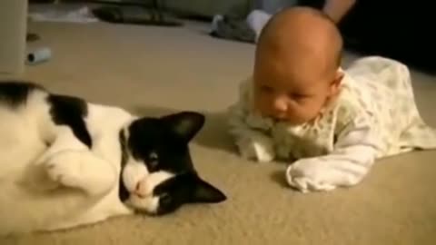 Cat and Baby fun 🤣🤣part 2