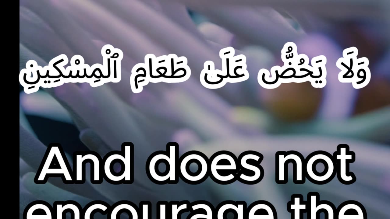 surah Al-Ma'un translated #islamicvideo #muslimstories #facts #quranrecitation