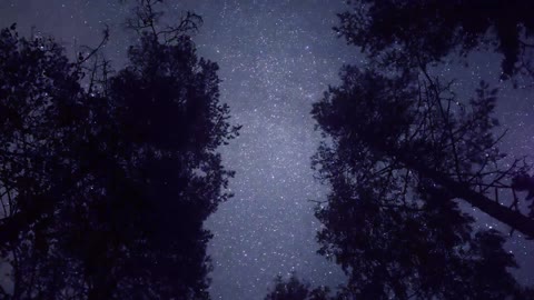 Timelapse and Aurora Borealis in Karelia