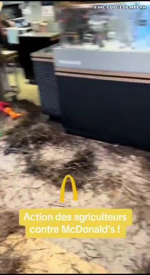 Französischer McDonals Besuch