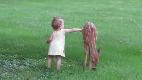 Little Girl plays with Fawn